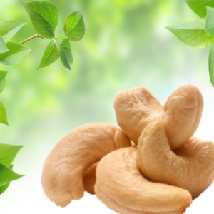 Castaña de Caju Natural