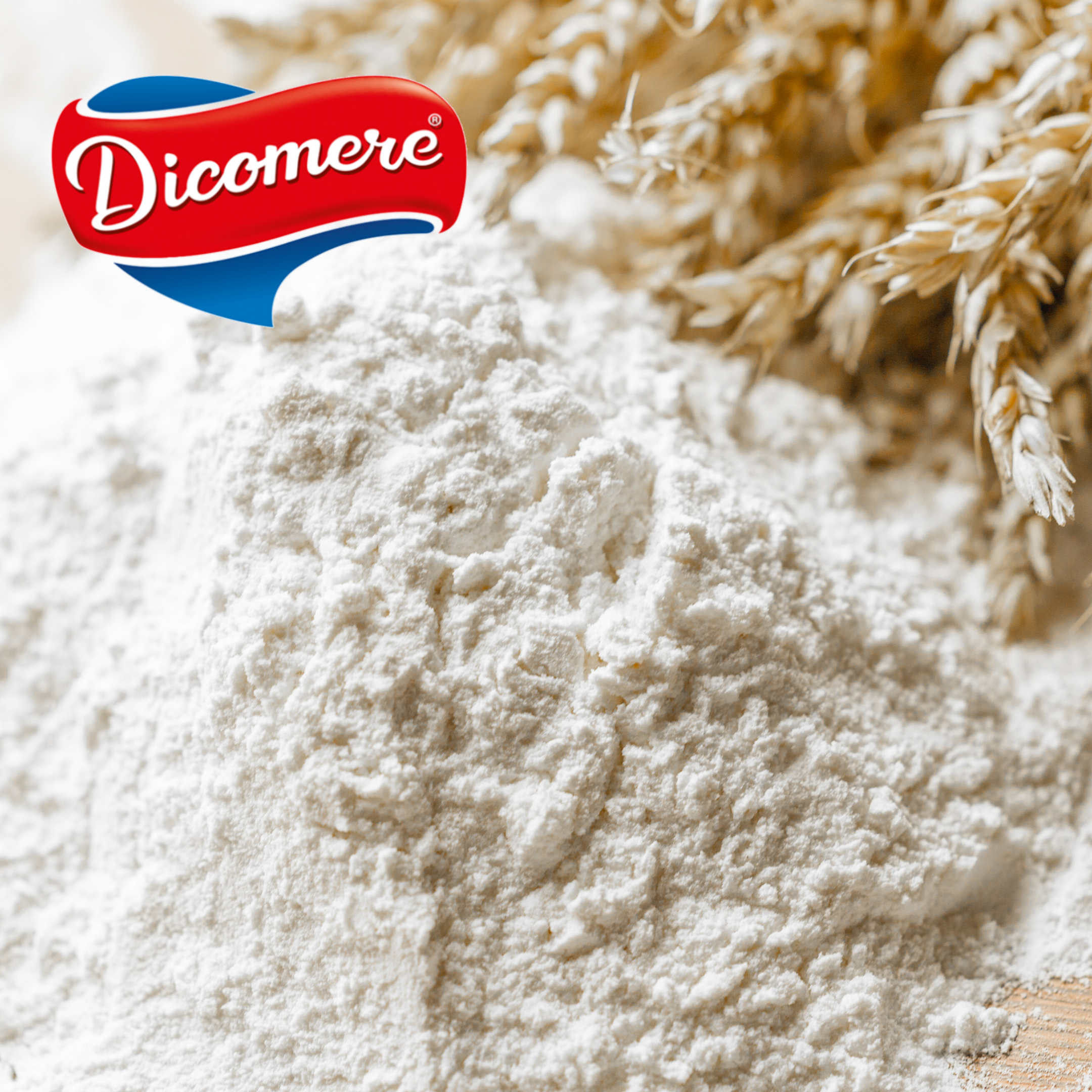 Harina de Centeno extra fina