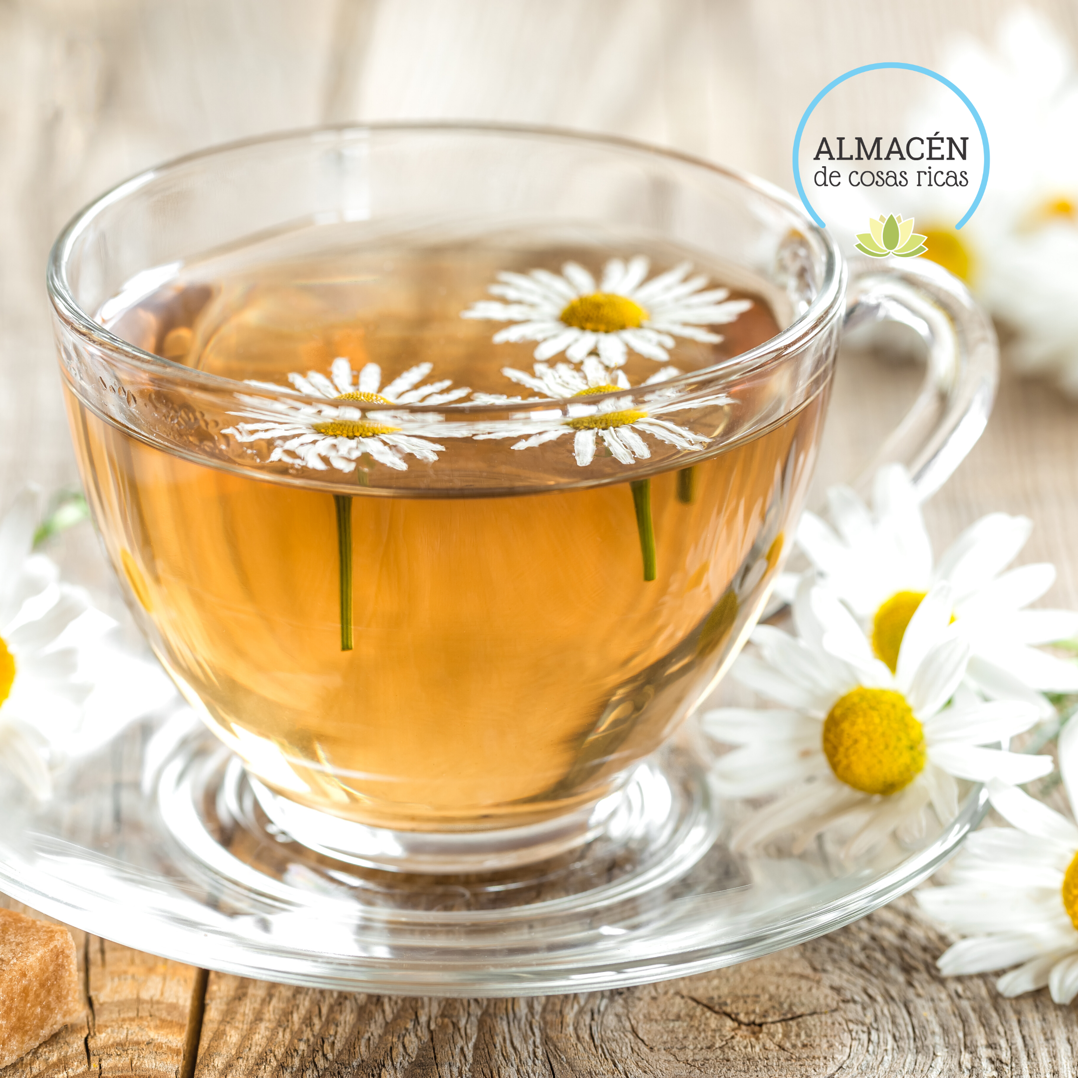 Manzanilla Hierbas - Imagen 2