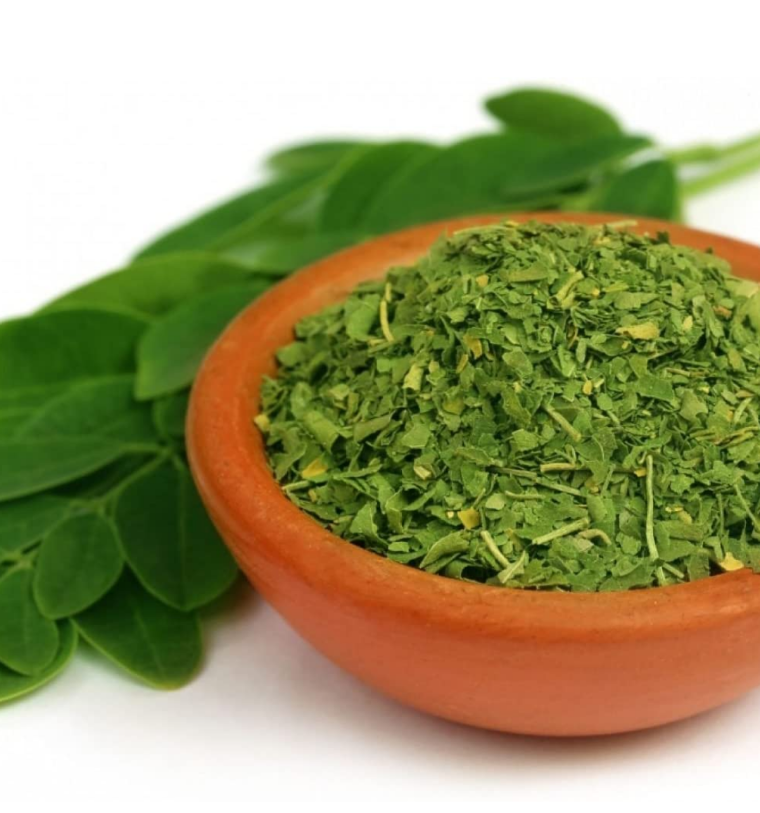 Moringa Hierbas