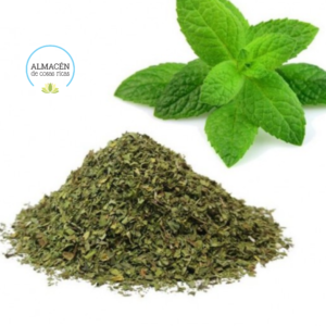 Menta - Hierbas